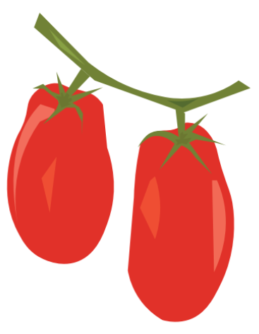 Two long tomatoes